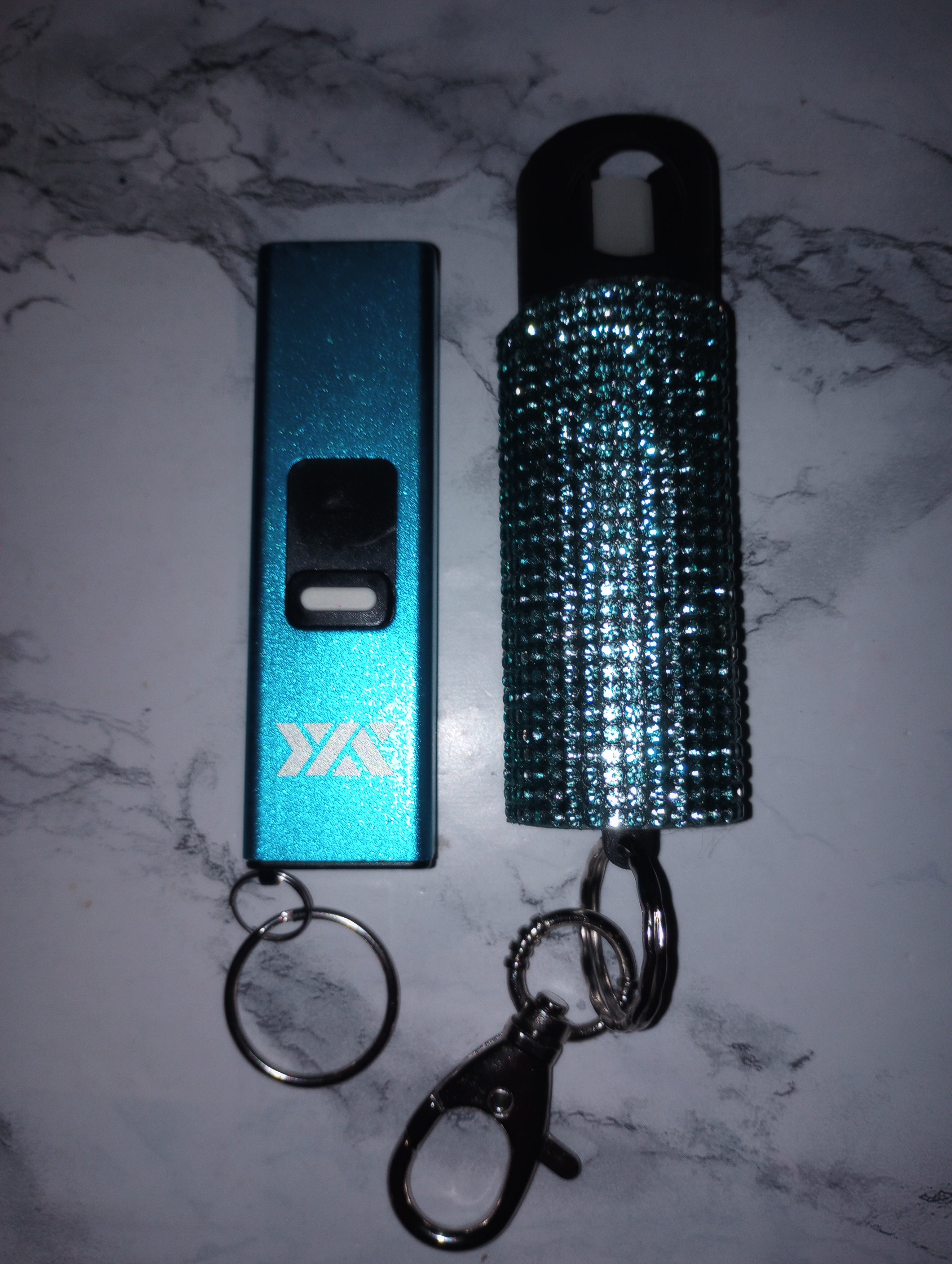 Keychains – Alarmed N' Dangerous